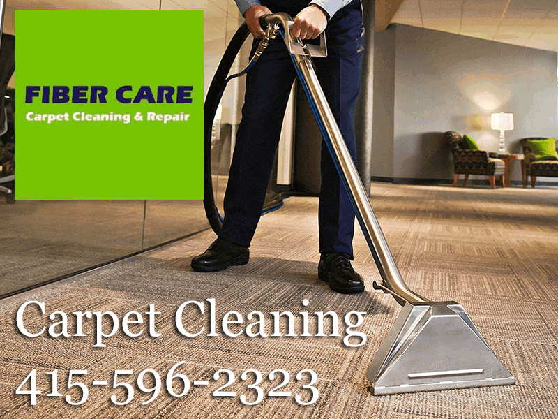 Expert Stain Removal Services for Carpets Fiber Care